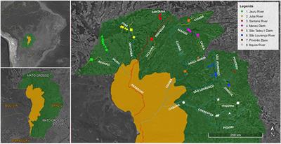 Dam-Induced Hydrologic Alterations in the Rivers Feeding the Pantanal